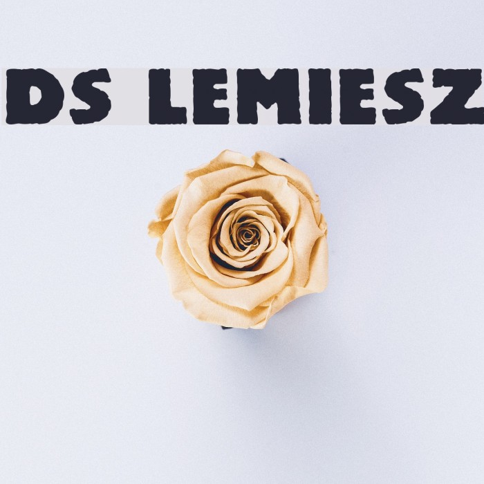DS Lemiesz Font examples