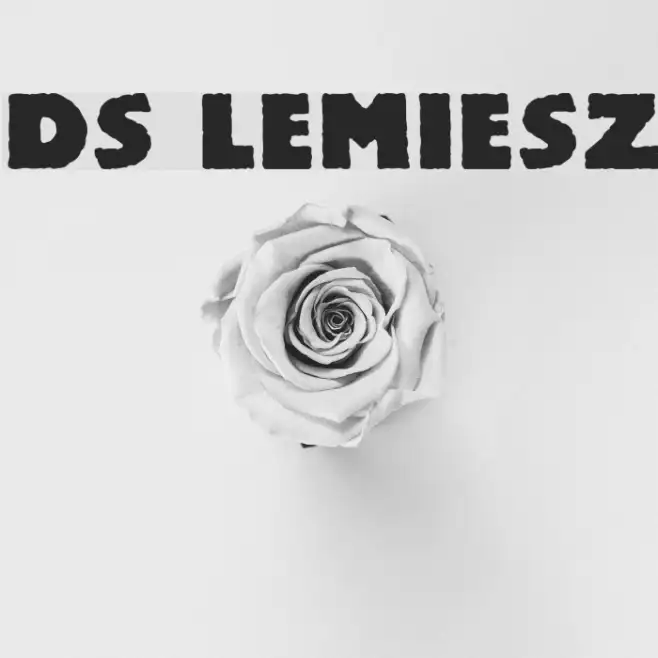 DS Lemiesz Example 3