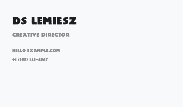 DS Lemiesz Business Card