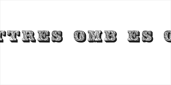 DS Lettres ombées ornées Logo