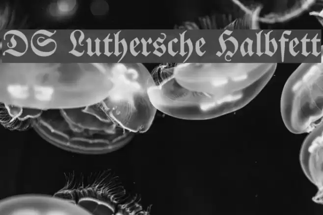 DS Luthersche Halbfett Font examples