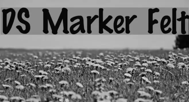 DS Marker Felt Font examples