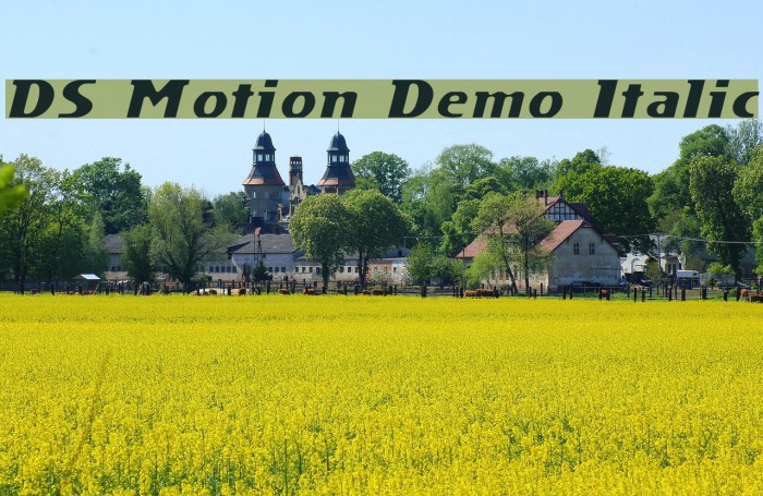 DS Motion Demo Italic Fuentes examples