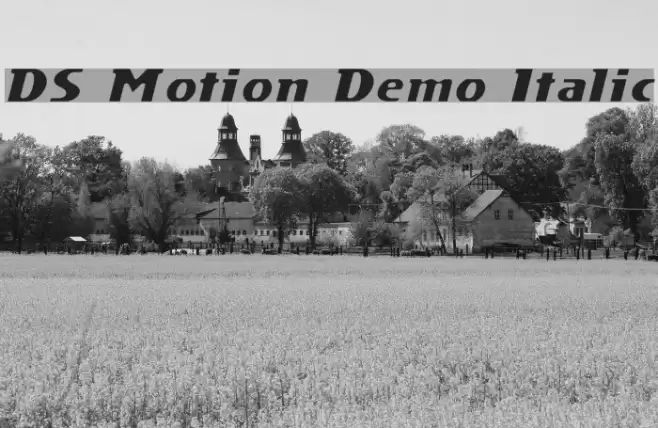 DS Motion Demo Italic Шрифта examples