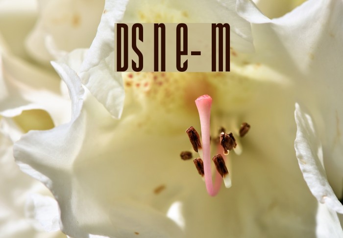 DS Narrow Extra-condensed Medium Font examples