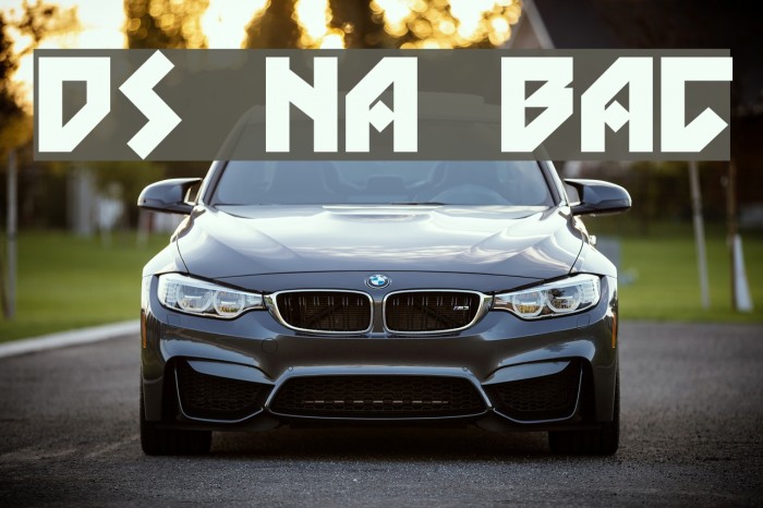 DS Nova Black Font examples