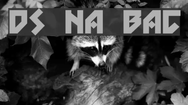 DS Nova Black Шрифта examples