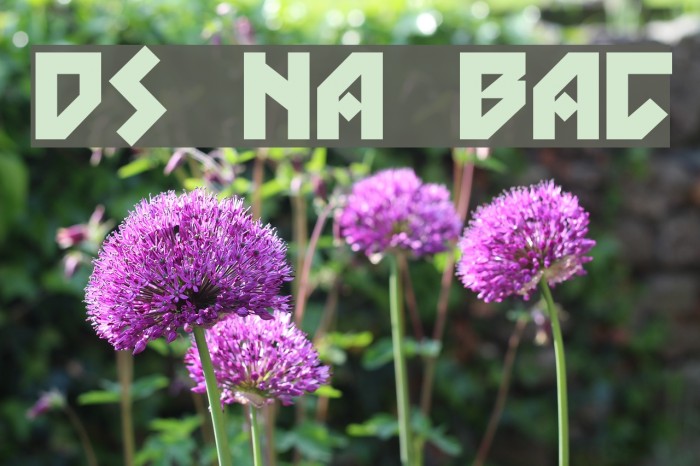 DS Nova Black Font examples