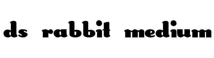 DS Rabbit Medium Font