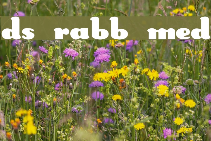 DS Rabbit Medium Fonte examples