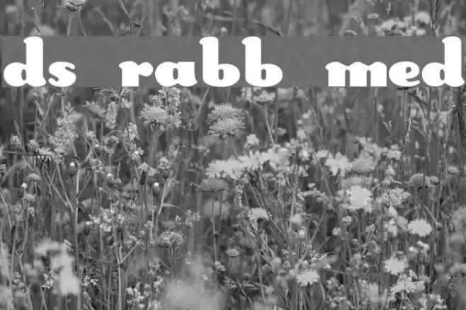DS Rabbit Medium Fonte examples
