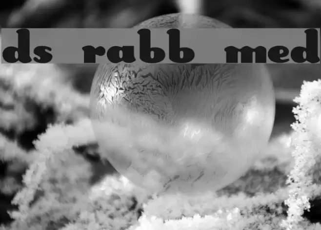 DS Rabbit Medium Fonte examples