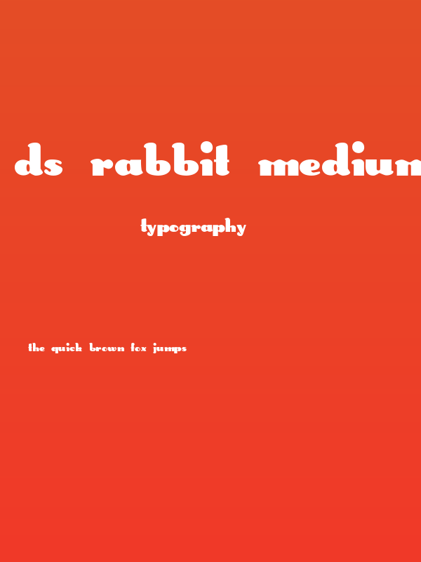 DS Rabbit Medium Poster