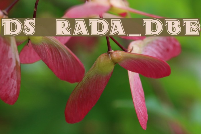 DS Rada_Double Font examples