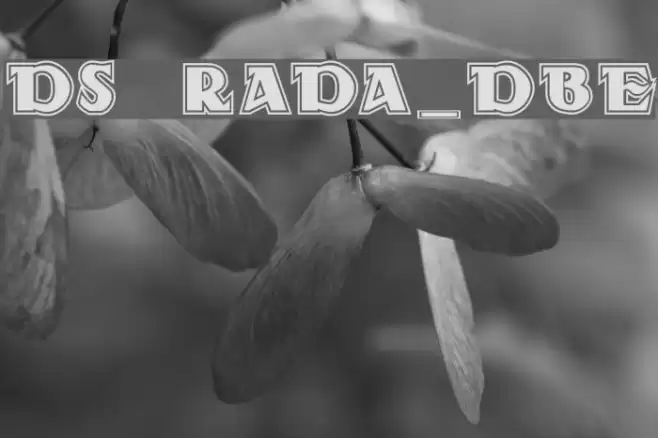 DS Rada_Double Schriftart examples