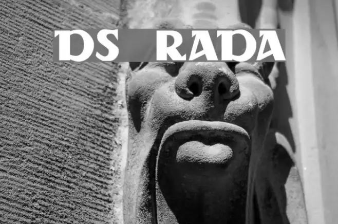 DS Rada Example 2