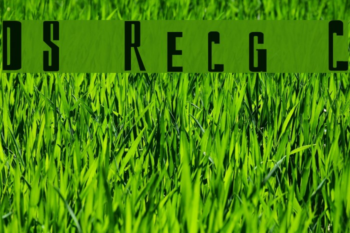 DS Reckoning Cyr Font examples