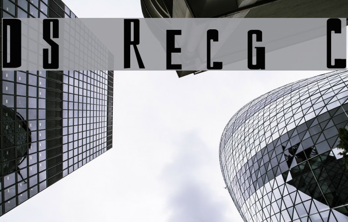 DS Reckoning Cyr Font examples