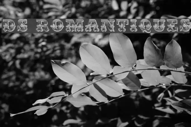 DS Romantiques Schriftart examples