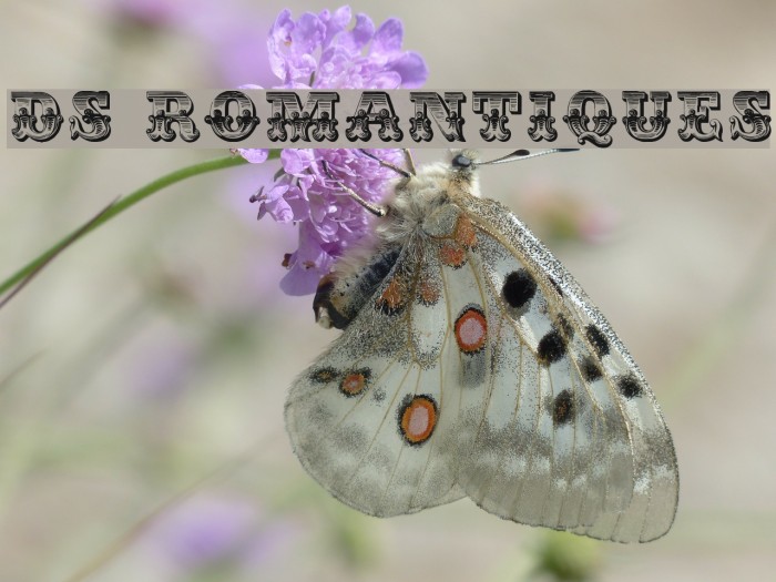 DS Romantiques Font examples