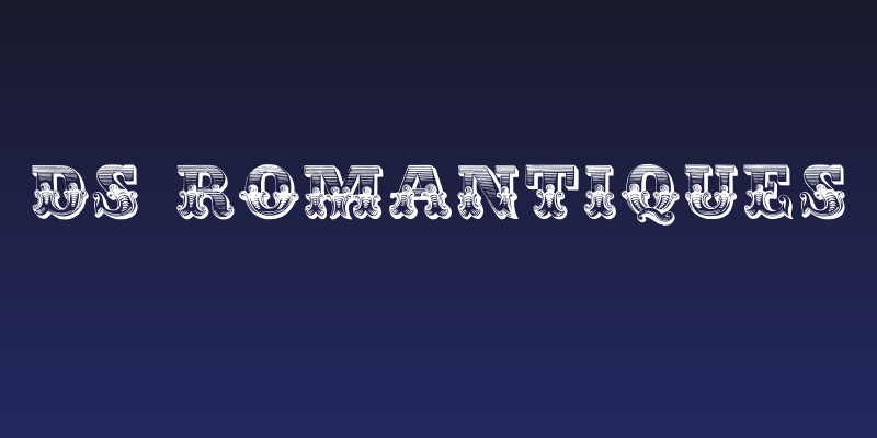 DS Romantiques Social Header