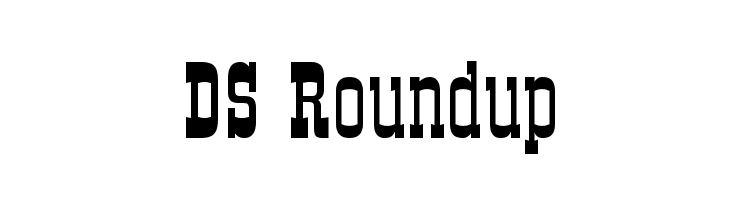 DS Roundup  Frei Schriftart Herunterladen