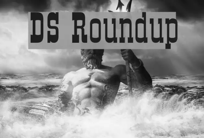 DS Roundup Example 1