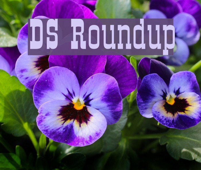 DS Roundup Font examples