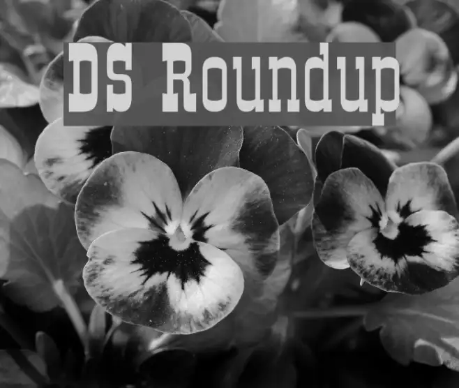 DS Roundup Example 2