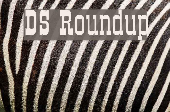 DS Roundup Font examples