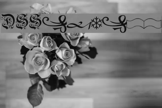 DS-Schmuck Font examples