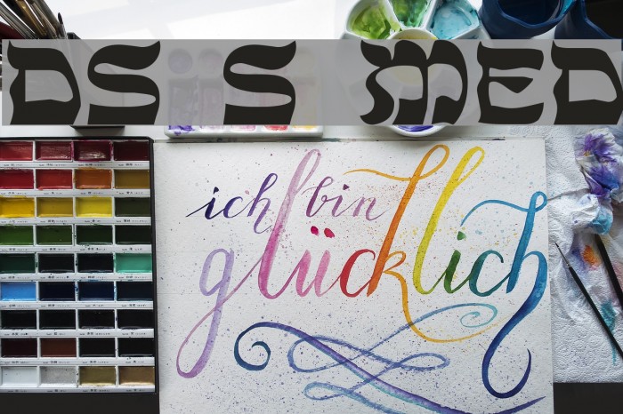 DS Sholom Medium Font examples