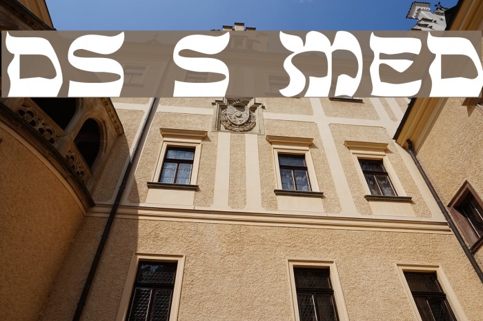 DS Sholom Medium Font examples
