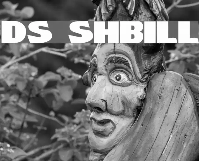 DS ShowBill Шрифта examples