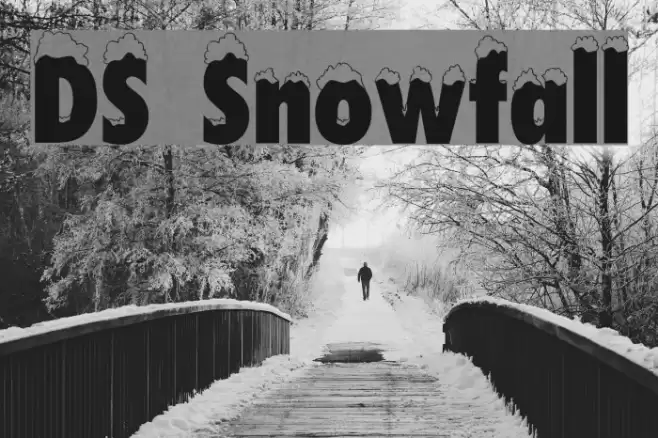 DS Snowfall Font examples
