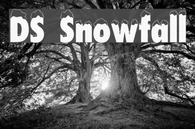 DS Snowfall Font examples