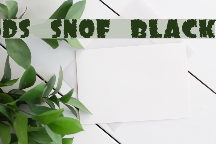DS SonOf Black Font examples