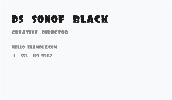 DS SonOf Black Business Card
