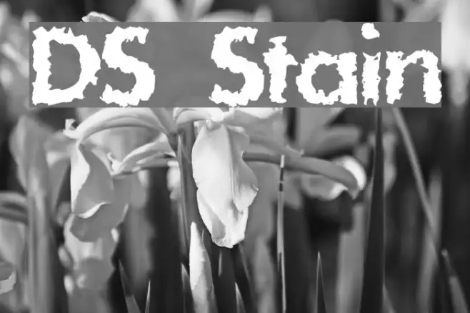 DS Stain Example 2
