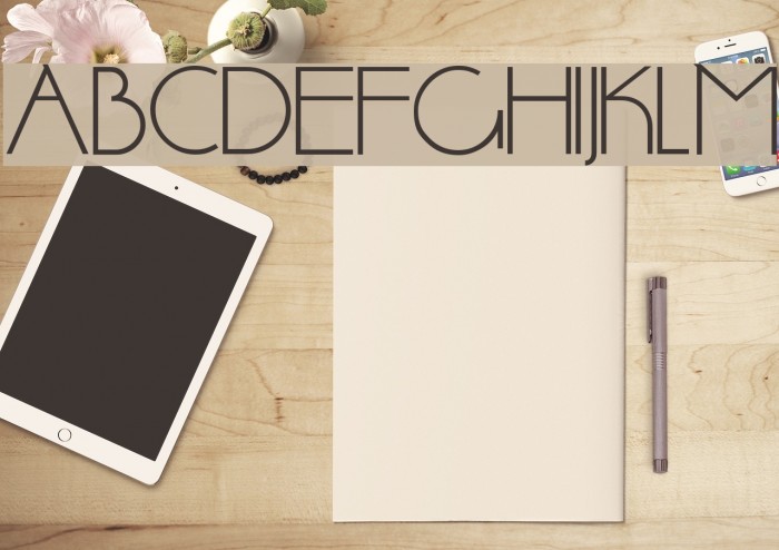 DS StandartCyr Font examples