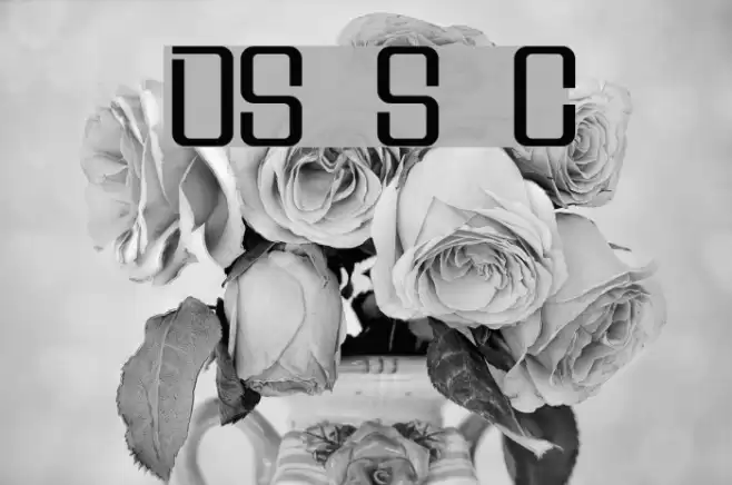 DS Supervixen Cyr Fuentes examples