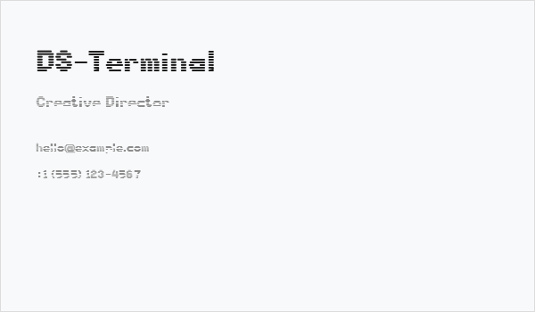 DS-Terminal Business Card