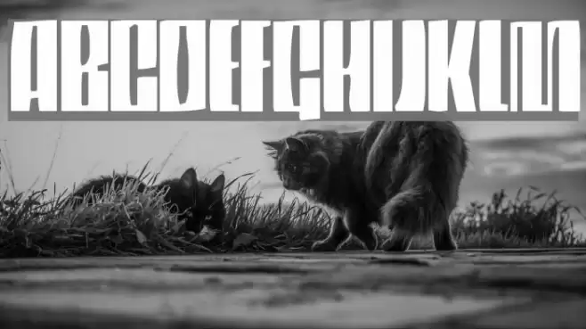 DS Thompson Fonte examples