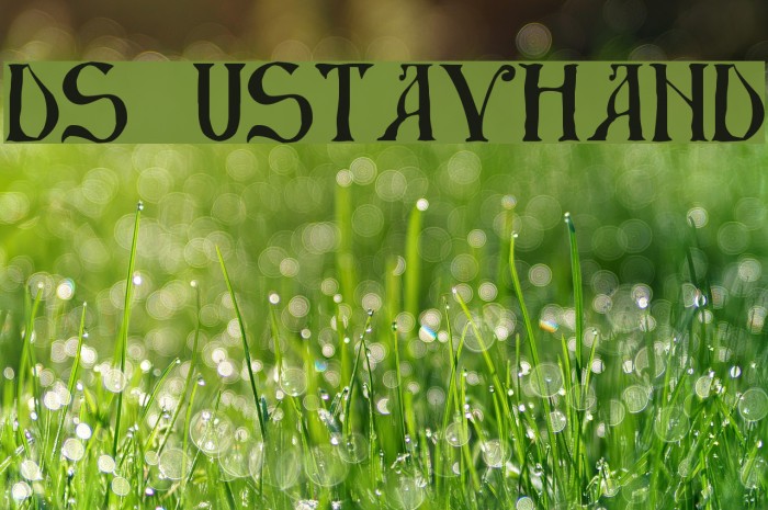 DS UstavHand Font examples