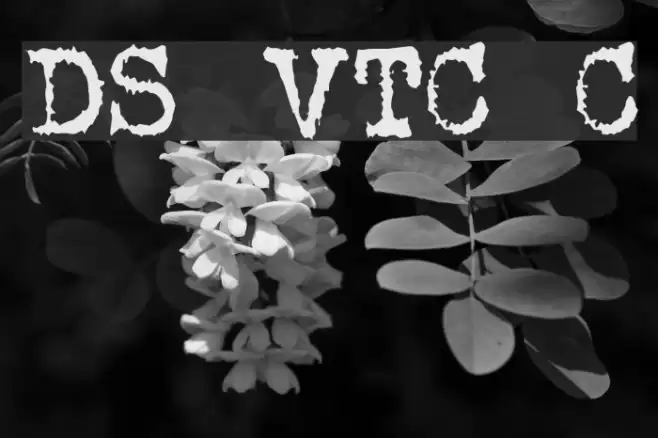 DS VTCorona Cyr Шрифта examples