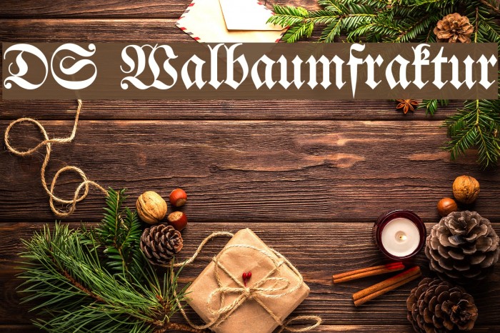 DS Walbaumfraktur Font examples