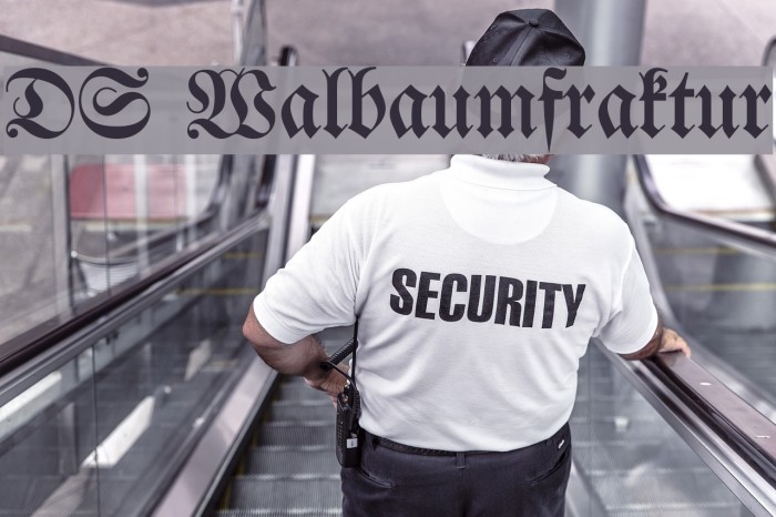DS Walbaumfraktur Font examples