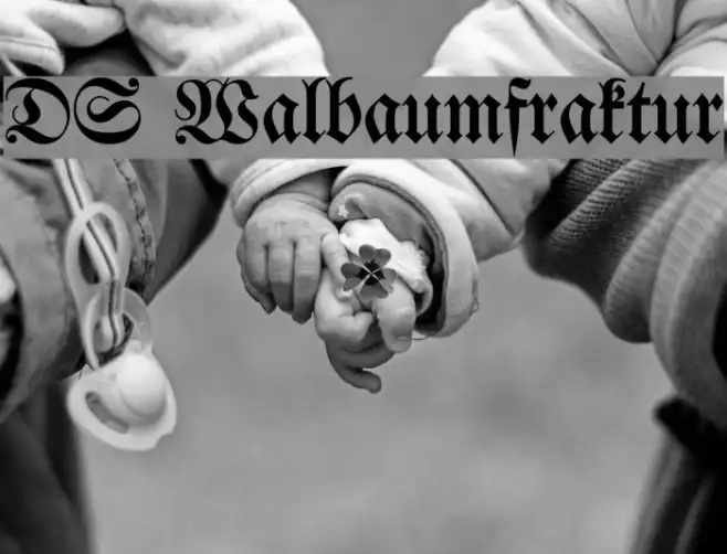 DS Walbaumfraktur Example 3