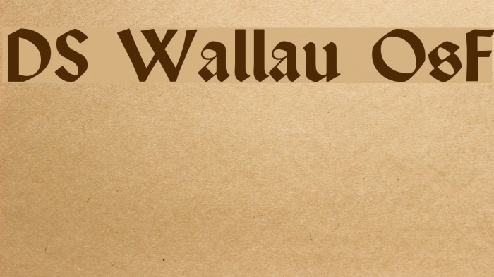 DS Wallau OsF Font examples