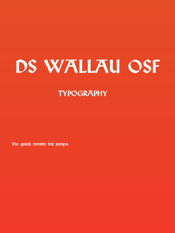 DS Wallau OsF Poster